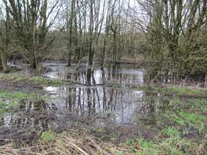 Howardian Local Nature Reserve&#010 Digging out the channel