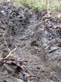 Howardian Local Nature Reserve 
    Digging out the channel