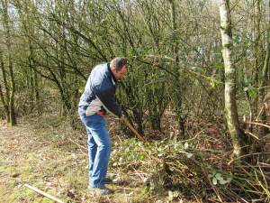 Howardian Local Nature Reserve Cutting back vegetation