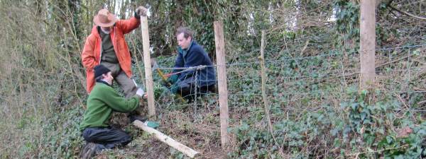 Howardian Local Nature Reserve  Repairing Fencing