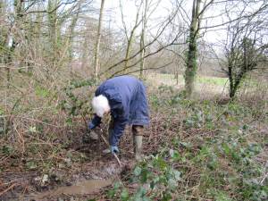 Howardian Local Nature Reserve 
    Digging drainage ditch