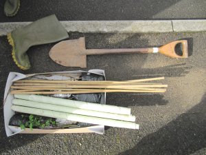 Howardian Local Nature reserve 
  Trees and equipment