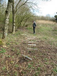 Howardian Local Nature Reserve 
  planting extension to Derek's Hedge