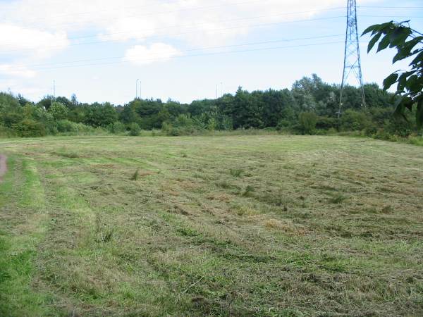 Howardian Local Nature Reserve 
  Orchid Meadow after cutting
