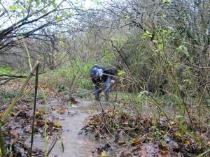 Howardian Local Nature Reserve&#010 Rerouting Winter Wetland water supply