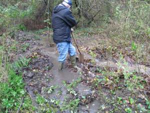 Howardian Local Nature Reserve 
    Shoreing up banks