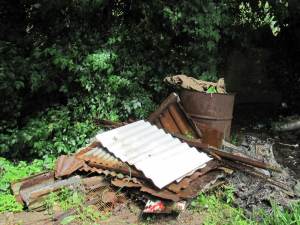 Howardian Local Nature Reserve 
 Scrap Iron dump CAAA