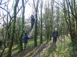 Howardian Local Nature Reserve
  Bird and Bat Boxes