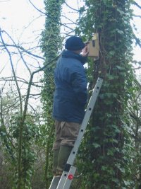 Howardian Local Nature Reserve 
  Nailing an Aperture Bird box onto a tree