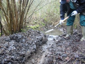 Howardian Local Nature Reserve
  Water Management