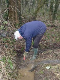 Howardian Local Nature Reserve 
    Digging out the drainage ditch