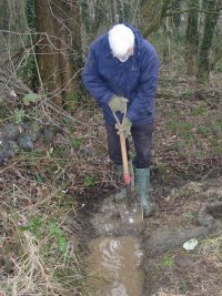 Howardian Local Nature Reserve
Digging out the drainage ditch Howardian Local Nature Reserve
Digging out the drainage ditch