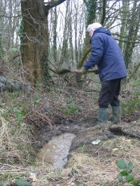 Howardian Local Nature Reserve 
    Digging out the drainage ditch