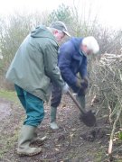 Howardian Local Nature reserve
Planting to thicken newly laid hedges Howardian Local Nature reserve
Planting to thicken newly laid hedges