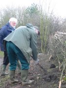 Howardian Local Nature reserve
Planting to thicken newly laid hedges Howardian Local Nature reserve
Planting to thicken newly laid hedges