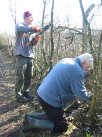 Howardian Local Nature Reserve 
  Hedge Laying