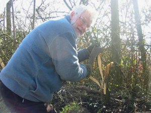 Howardian Local Nature Reserve 
  Hedge Laying