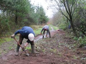 Howardian Local Nature Reserve  Clearing path Dec 2011