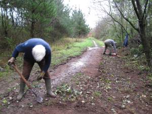 Howardian Local Nature Reserve Clearing path Dec 2011