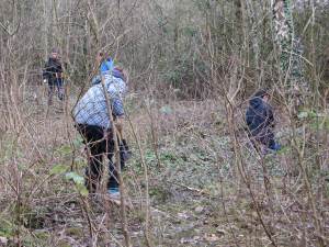 Howardian Local Nature Reserve 
 29th Scouts Group, Pontcanna, Cardiff