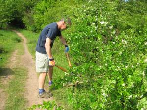 Howardian Local Nature Reserve
   thinning