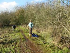 Howardian Local Nature Reserve
   thinning