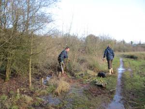 Howardian Local Nature Reserve
thinning Howardian Local Nature Reserve
thinning