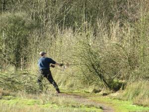 Howardian Local Nature Reserve
   thinning