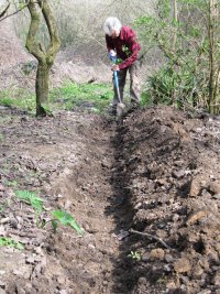 Howardian Local Nature Reserve
Digging out the channel Howardian Local Nature Reserve
Digging out the channel