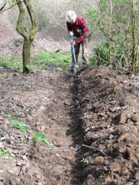 Howardian Local Nature Reserve 
    Digging out the channel