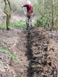 Howardian Local Nature Reserve 
    Digging out the channel