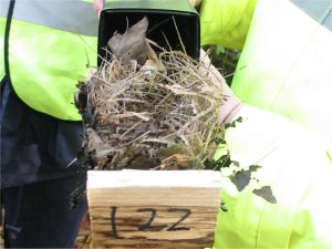 Howardian Local Nature Reserve
  Dormice nest tube with nest
