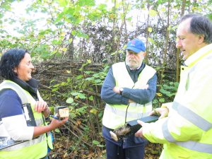 Howardian Local Nature Reserve
  Dormice survey