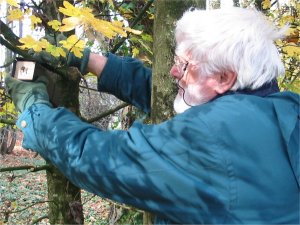 Howardian Local Nature Reserve
  checking Dormice nesting tubes