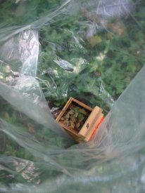 Howardian Local Nature Reserve
    Dormouse box in bag