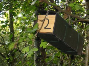 Howardian Local Nature Reserve
  Dormouse Nest Tube