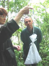 Howardian Local Nature Reserve
    Weighing the Dormouse