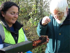 Howardian Local Nature Reserve
  Dormice nesting tube with
  Wood Mouse winter food store