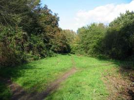 Howardian Local Nature Reserve
  Butterfly ride