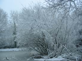 Howardian Local Nature Reserve
    Pond in Snow