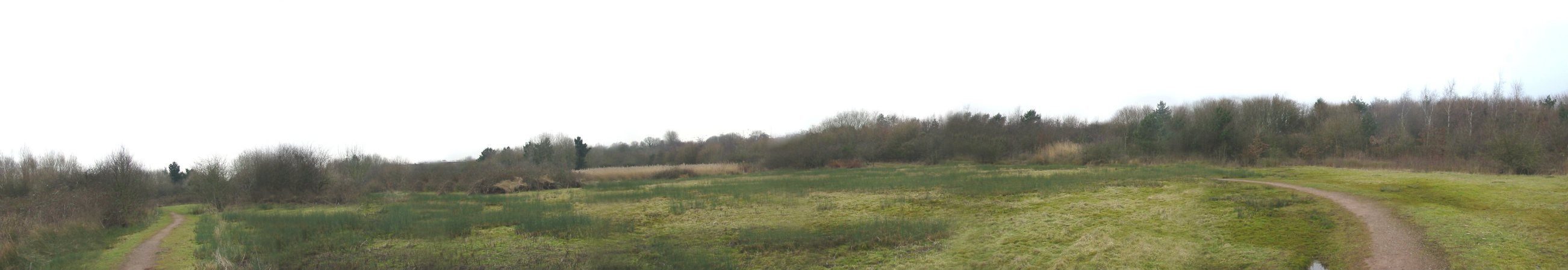 Scroll left and right
for full panorama of the
Wild Flower Meadow in Winter
13 th February 2009