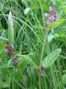 Self-Heal