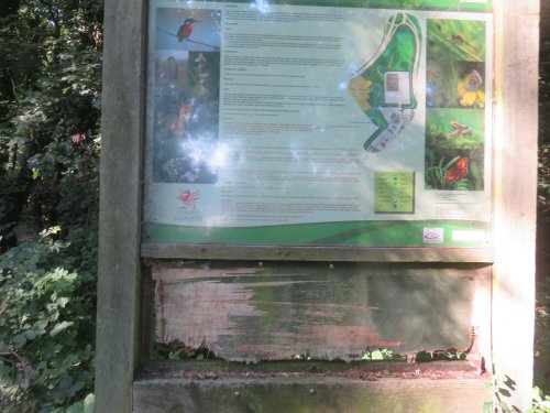 Howardian Local Nature reserve Repairs