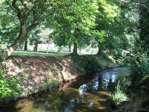 Roath Mill Gardens