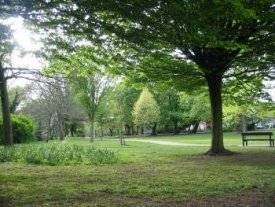 Roath Mill Gardens