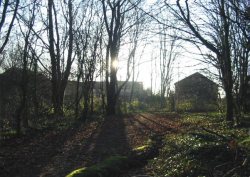 Howardian Local Nature Reserve 2009 Howardian Local Nature Reserve 2009