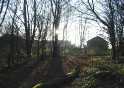 Howardian Local Nature Reserve 2009