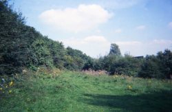 Howardian Local Nature Reserve 1994