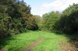 Howardian Local Nature Reserve 2009