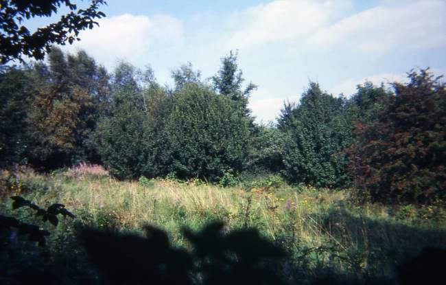 Howardian Local Nature Reserve 1974